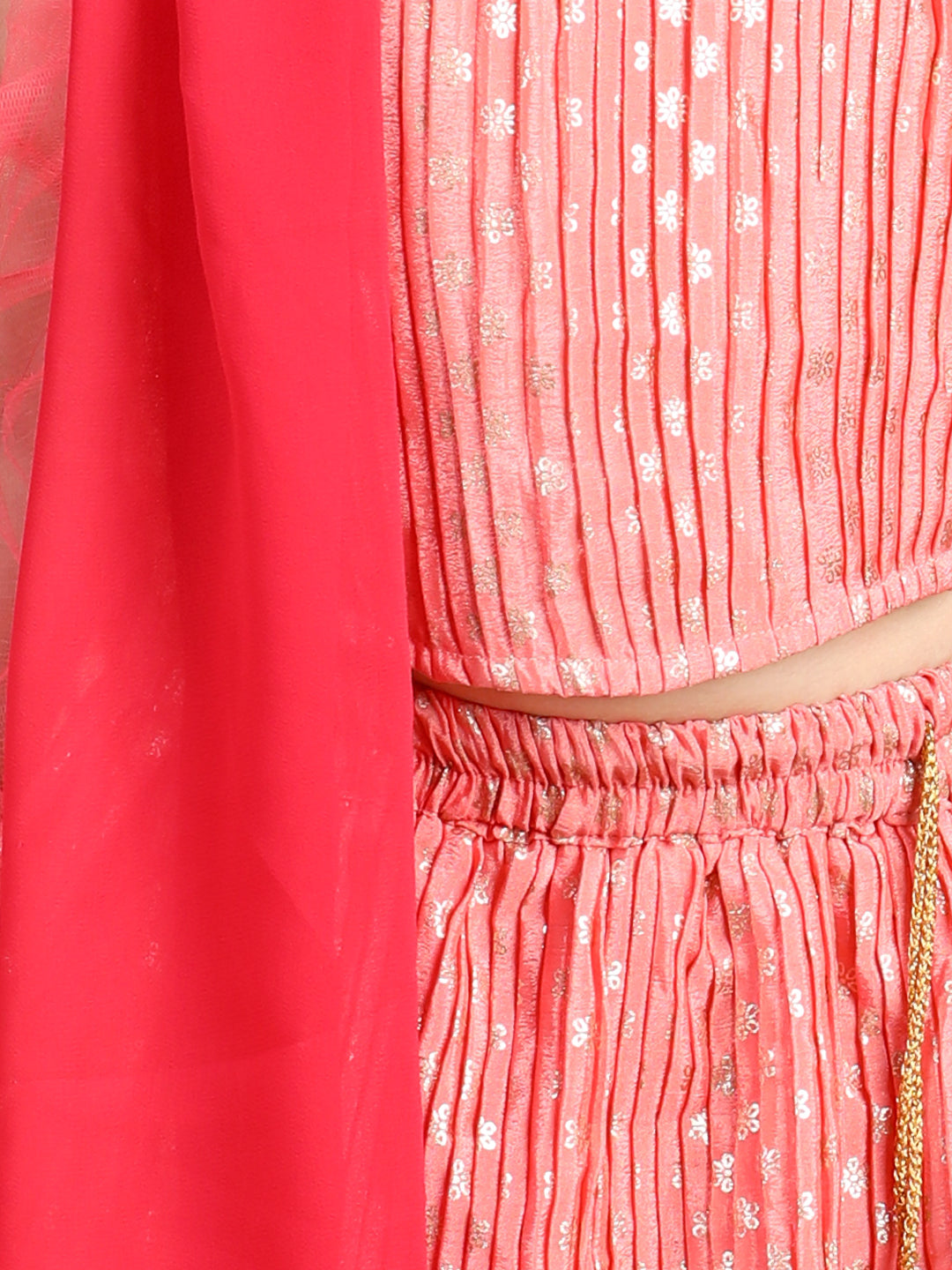 Sleeveless Embroidered Pleated Top And Lehenga