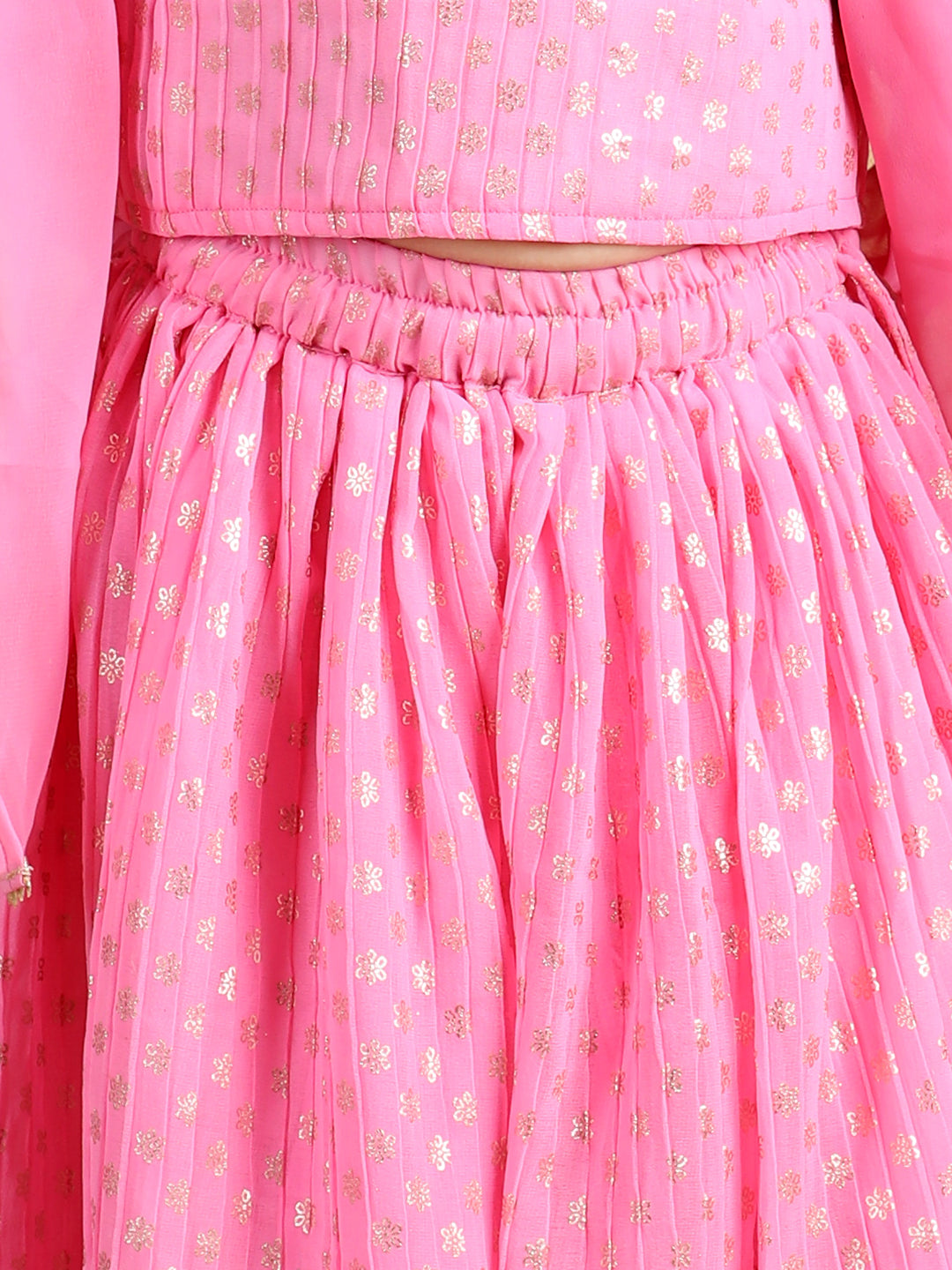 Cap Sleeves Embroidered Pleated Top And Lehenga