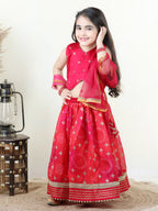 Pink Embroidered Top with gold printed lehenga and dupatta