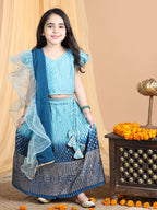 Cap Sleeves Embroidered Pleated Top And Lehenga