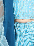 Cap Sleeves Embroidered Pleated Top And Lehenga