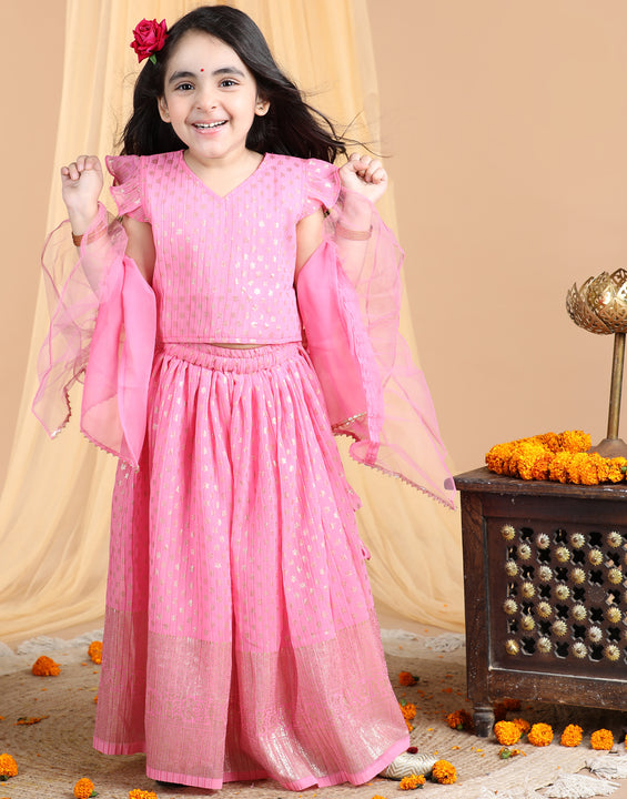 Cap Sleeves Embroidered Pleated Top And Lehenga