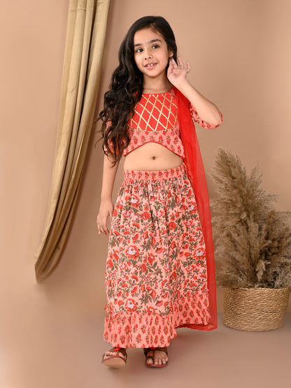 Peach katha printed Lehenga with half sleeves lace work top and dupatta