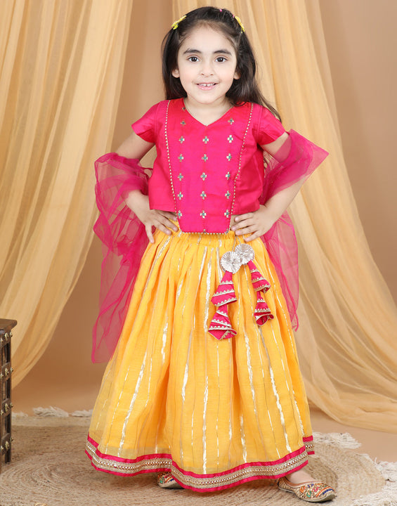 Pink Embroidered Top With Lurex Striped Lehenga & Dupatta