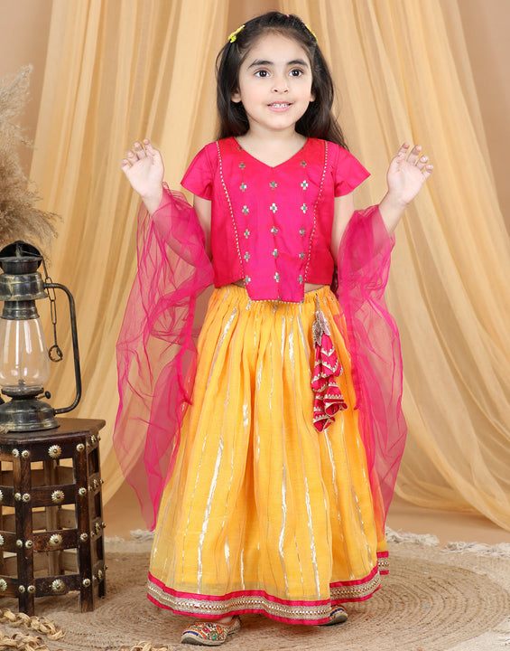 Pink Embroidered Top With Lurex Striped Lehenga & Dupatta