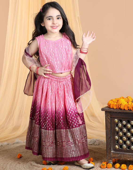 Sleeveless Embroidered Pleated Top And Lehenga